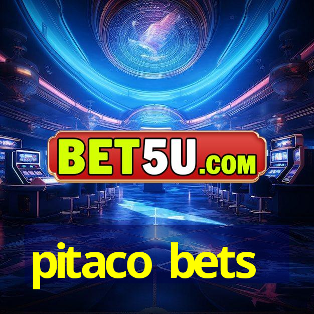 pitaco bets